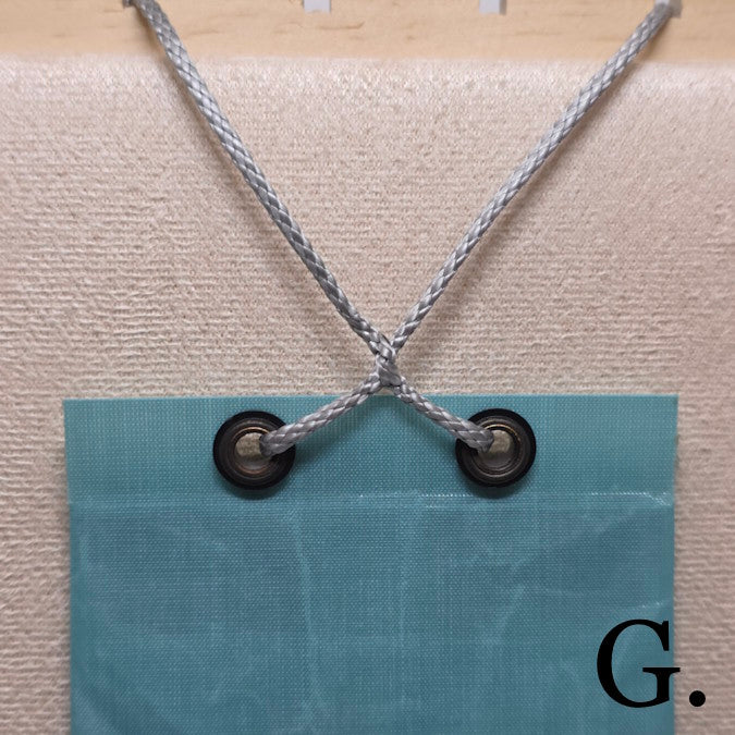 Adventure Wallet (Teal)