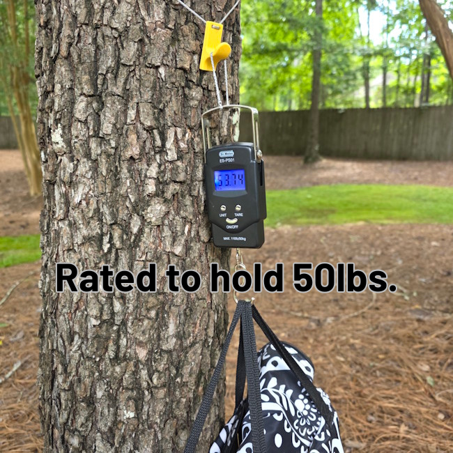 Tree Dock